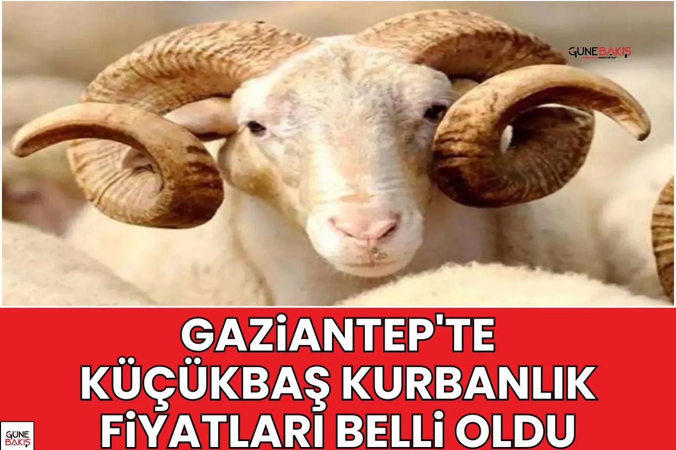 Gaziantep'te afet sonrası hasar tespiti için başvuru çağrısı