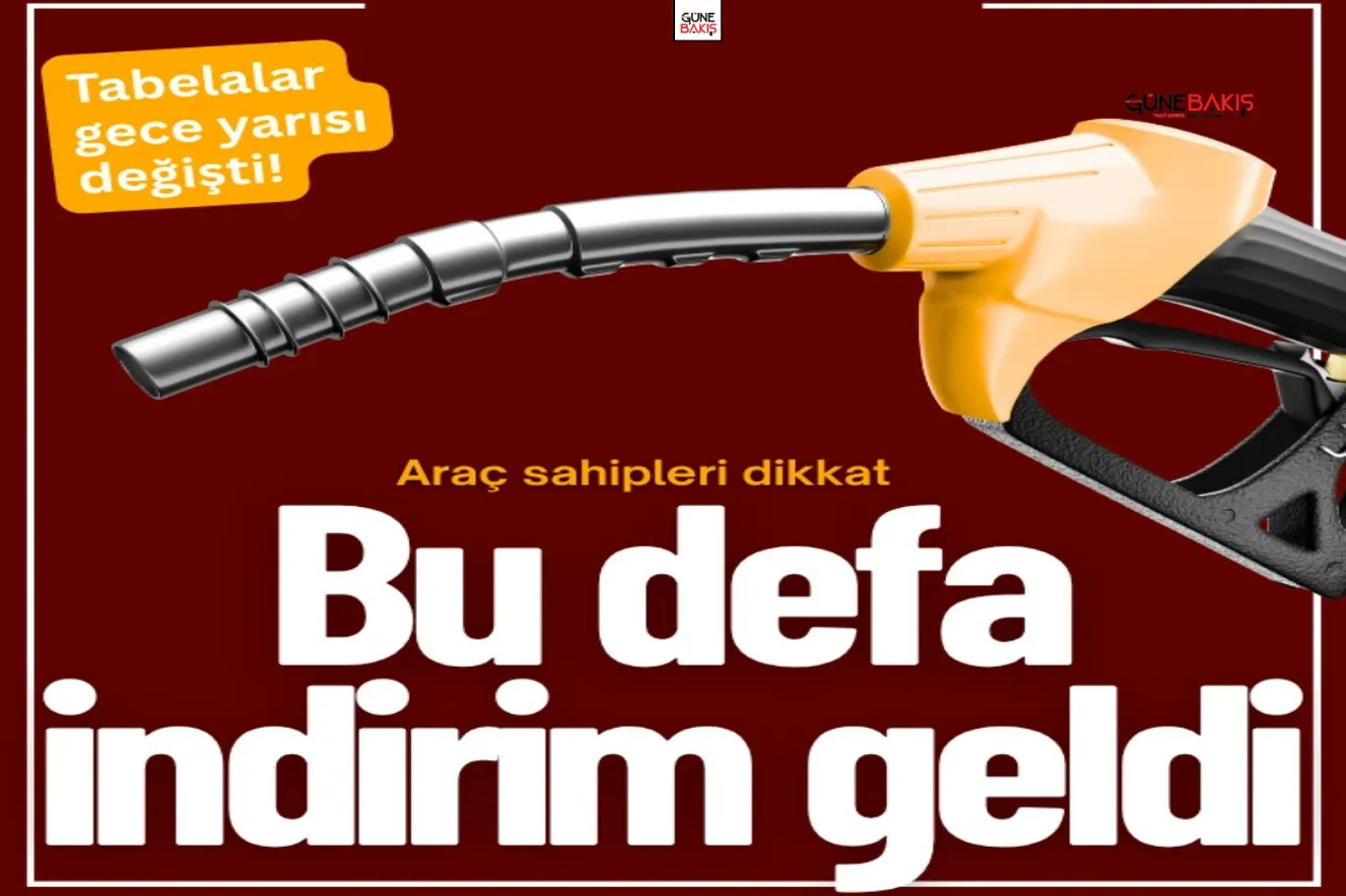Bakan Çiftçi'den sahipsiz hayvanlara ilişkin açıklama: Ekim ayına kadar toplanacak