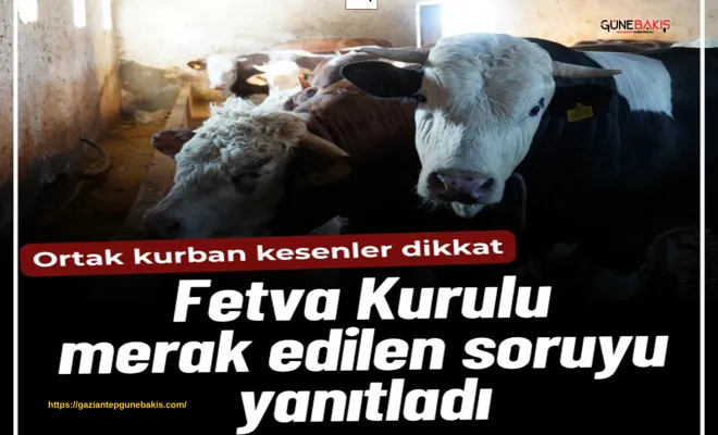 Ortak kurban kesenler dikkat: Fetva Kurulu merak edilen soruyu yanıtladı
