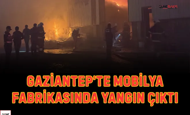 Gaziantep'te mobilya fabrikasında yangın çıktı
