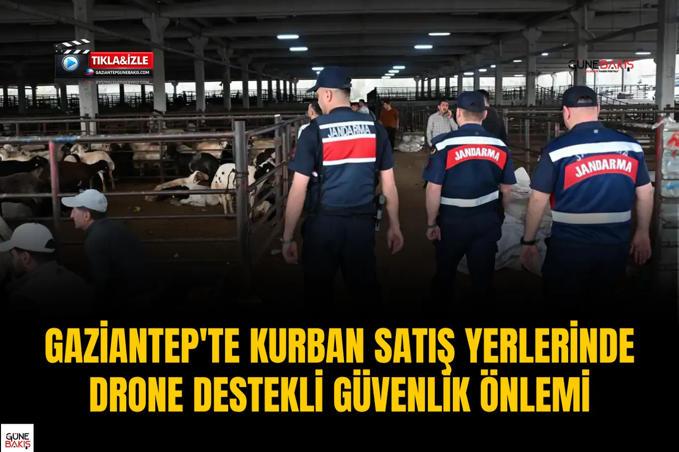 Gaziantep'te Umut Kervanı'nın kurban kesim ve dağıtım çalışmaları sürüyor