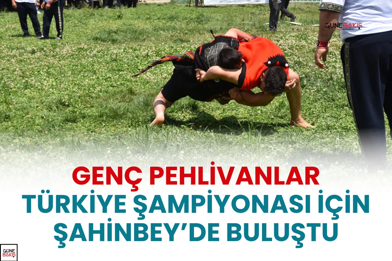 Op.Dr. Demez: kasık fıtığının tek tedavisi ameliyattır
