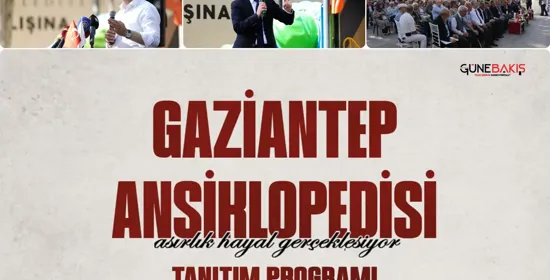 Gaziantep'in dolmalık biber ve patlıcanı reyonlarda yerini aldı