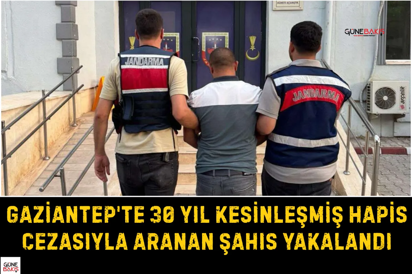 Gaziantep'te ruhsatsız silah operasyonu: 1 tutuklama