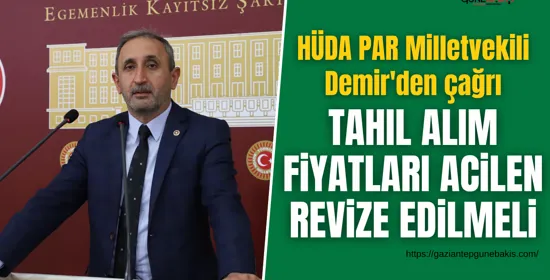 Sarıca: Yıllık asgari ücret sistemi alım gücünü korumuyor