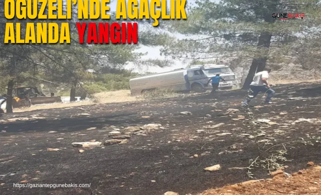 Oğuzeli’nde ağaçlık alanda yangın