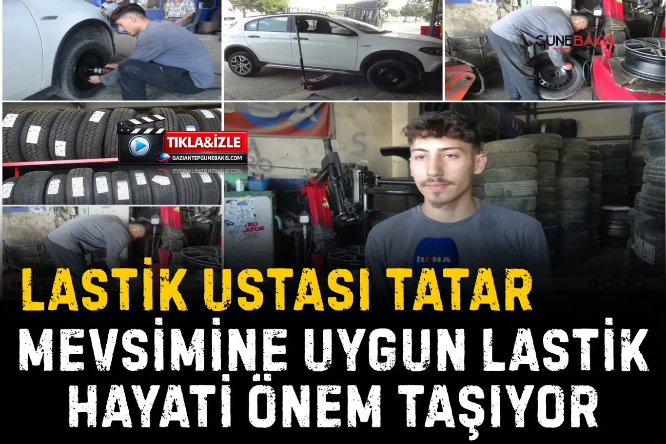 Şehitkamil’de görülen engerek yılanı paniğe neden oldu!