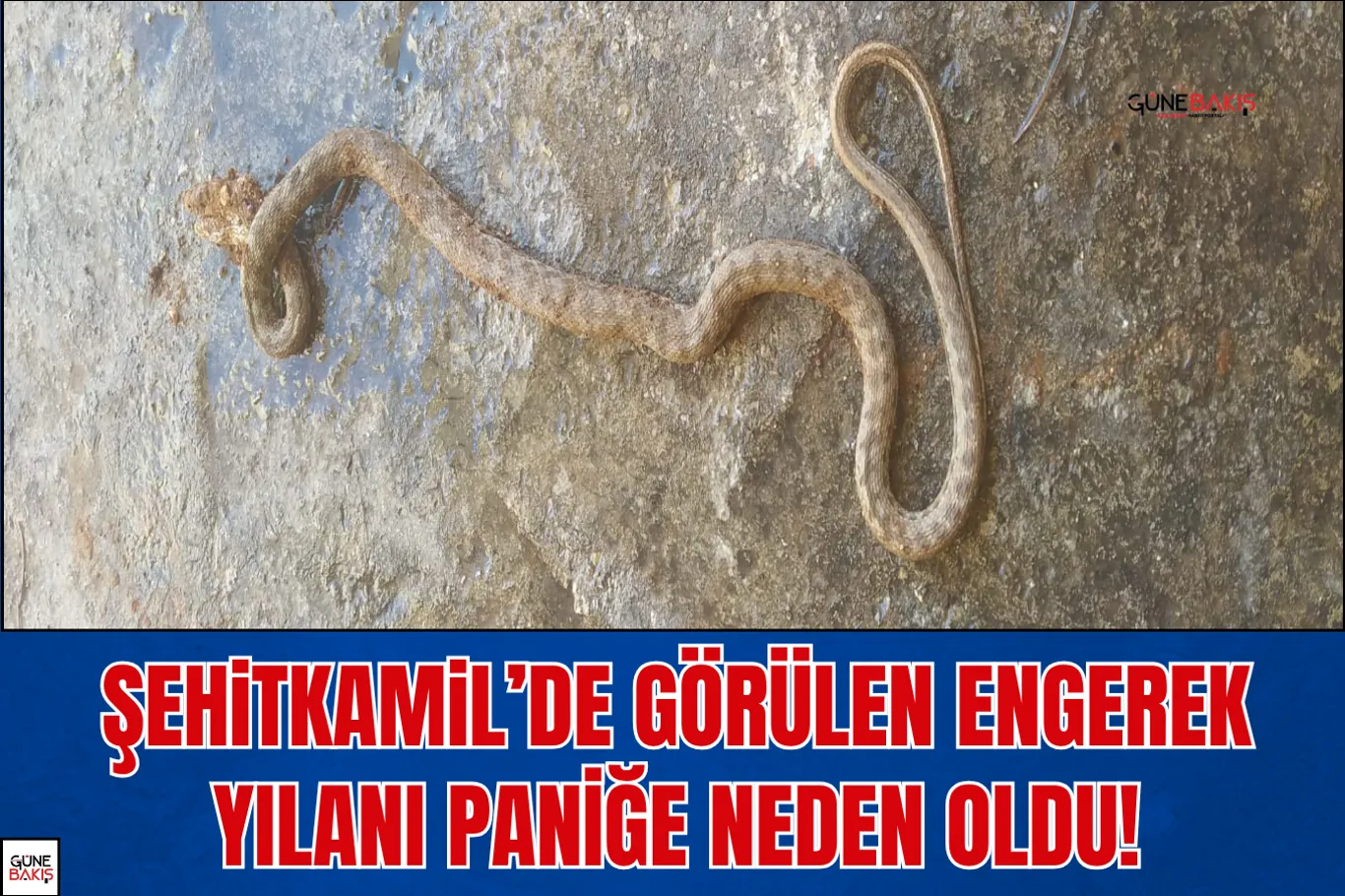 Gaziantep’te hırsızlık ve dolandırıcılık hükümlüleri yakalandı
