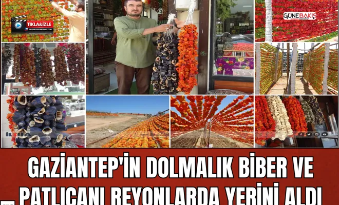 Gaziantep'in dolmalık biber ve patlıcanı reyonlarda yerini aldı
