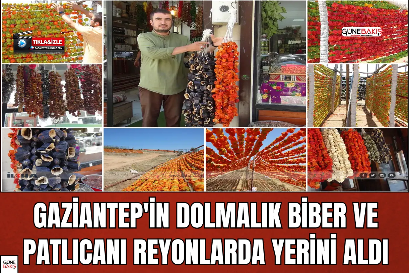 69 ilde uyuşturucu operasyonu: 708 kilo uyuşturucu ele geçirildi