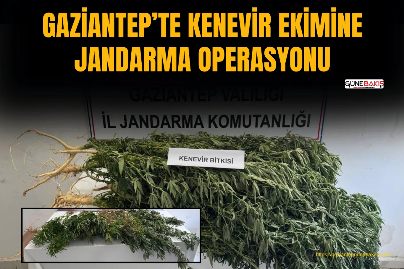 Gaziantep'te hırsızlık operasyonları: 8 şüpheli tutuklandı