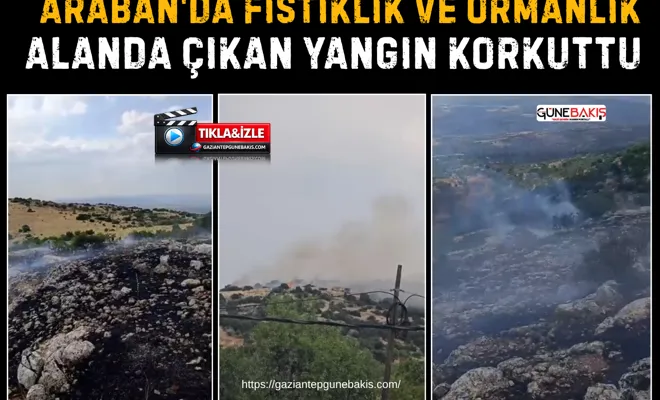 Araban'da fıstıklık ve ormanlık alanda çıkan yangın korkuttu