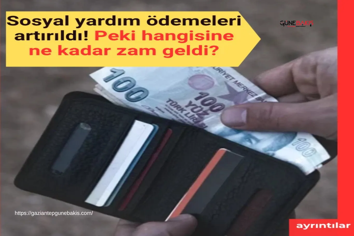 Seyrantepe'de sansar görüntülendi