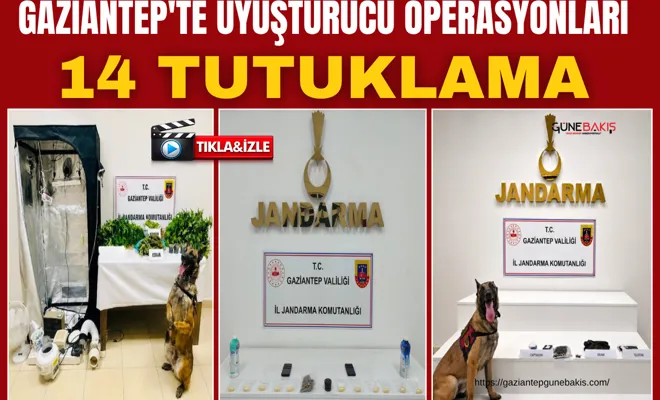 Gaziantep'te uyuşturucu operasyonları: 14 tutuklama