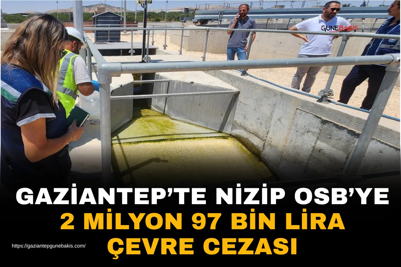 13 ilde siber suç operasyonu: 86 tutuklama