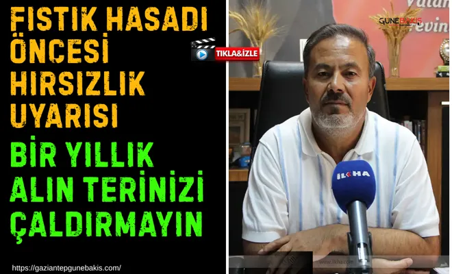 Fıstık hasadı öncesi hırsızlık uyarısı: Bir yıllık alın terinizi çaldırmayın