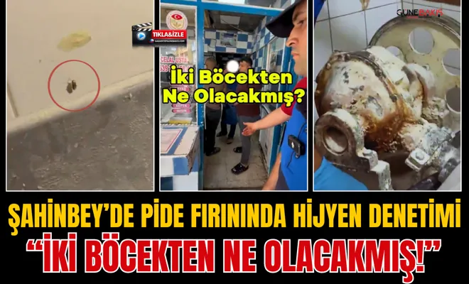 Şahinbey’de pide fırınında hijyen denetimi: “İki böcekten ne olacakmış!”