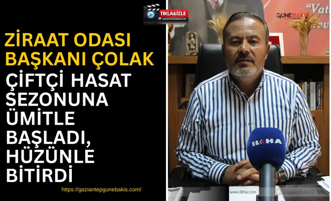 Ziraat Odası Başkanı Çolak: Çiftçi hasat sezonuna ümitle başladı, hüzünle bitirdi