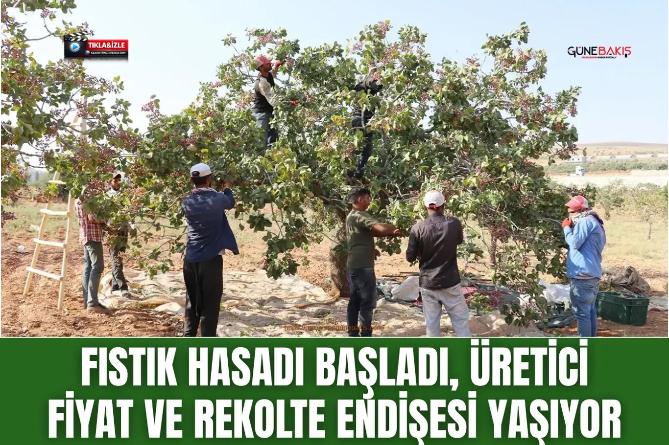 Gaziantep'te alacak verecek nedeniyle silahlı kavga: 2 ölü, 5 yaralı