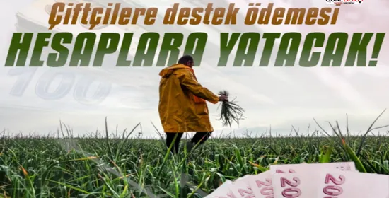 EPDK duyurdu: Elektrik iletim ek ücreti belli oldu