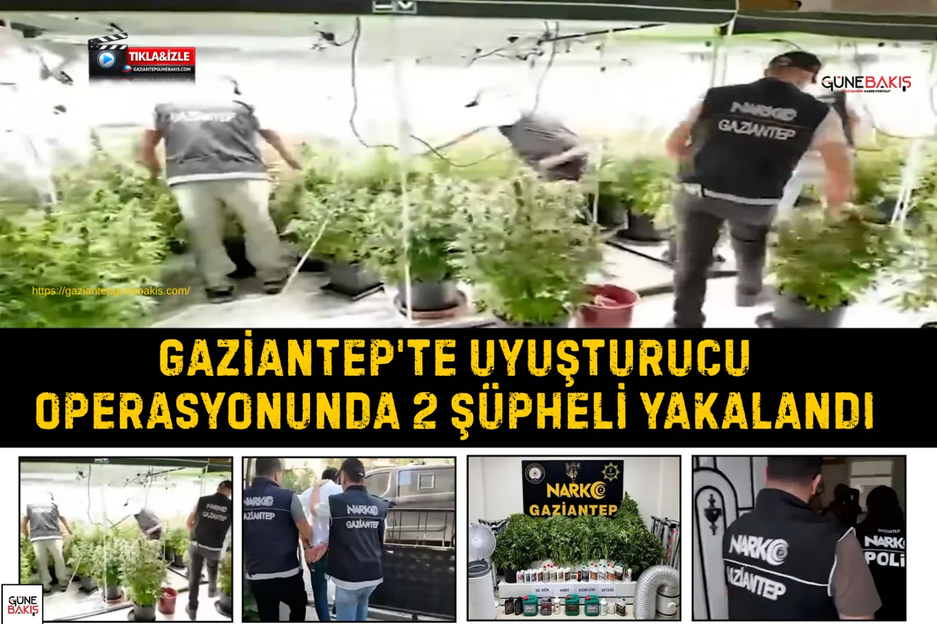 Araban'da uçurtmalar Gazze’deki çocuklar için gökyüzüne bırakıldı