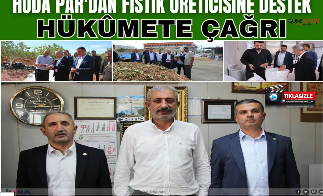 HÜDA PAR'dan fıstık üreticisine destek, hükûmete çağrı