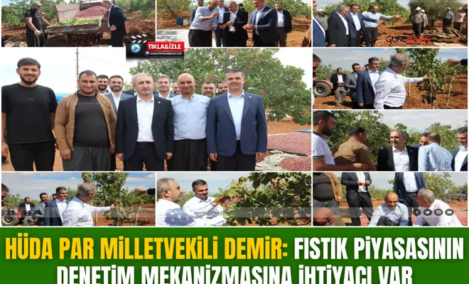 HÜDA PAR Milletvekili Demir: Fıstık piyasasının denetim mekanizmasına ihtiyacı var