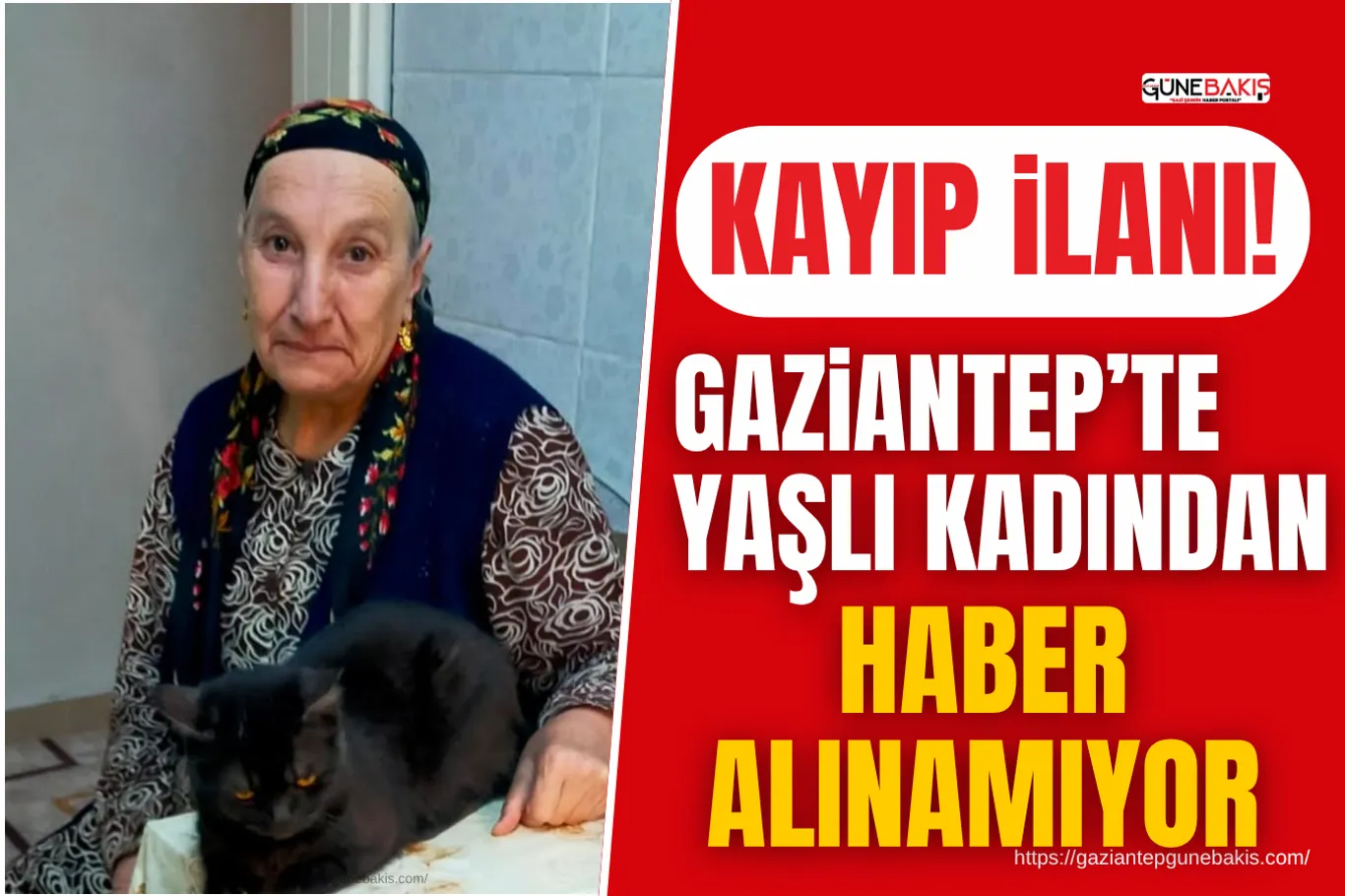 61 ilde siber suç operasyonu: 155 tutuklama