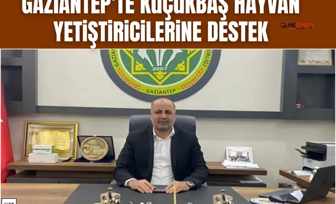 Gaziantep'te küçükbaş hayvan yetiştiricilerine destek